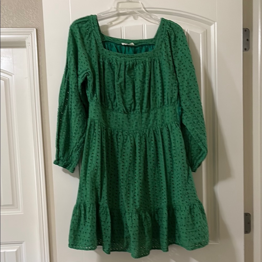 Hummingbird Anthropologie Green Eyelet Dress